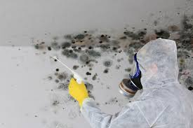 Mold Remediation for Rental Properties in Darnestown, MD